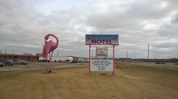 Flamingo Motel Marshalltown Eksteriør bilde